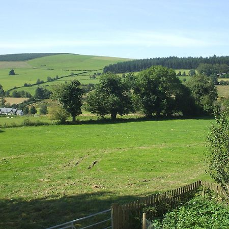 Macreddin Rock Bed&Breakfast Aughrim Exteriör bild