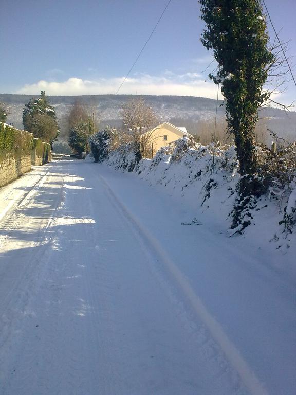 Macreddin Rock Bed&Breakfast Aughrim Exteriör bild