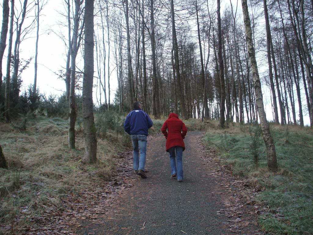 Macreddin Rock Bed&Breakfast Aughrim Exteriör bild