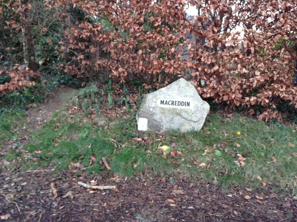 Macreddin Rock Bed&Breakfast Aughrim Exteriör bild