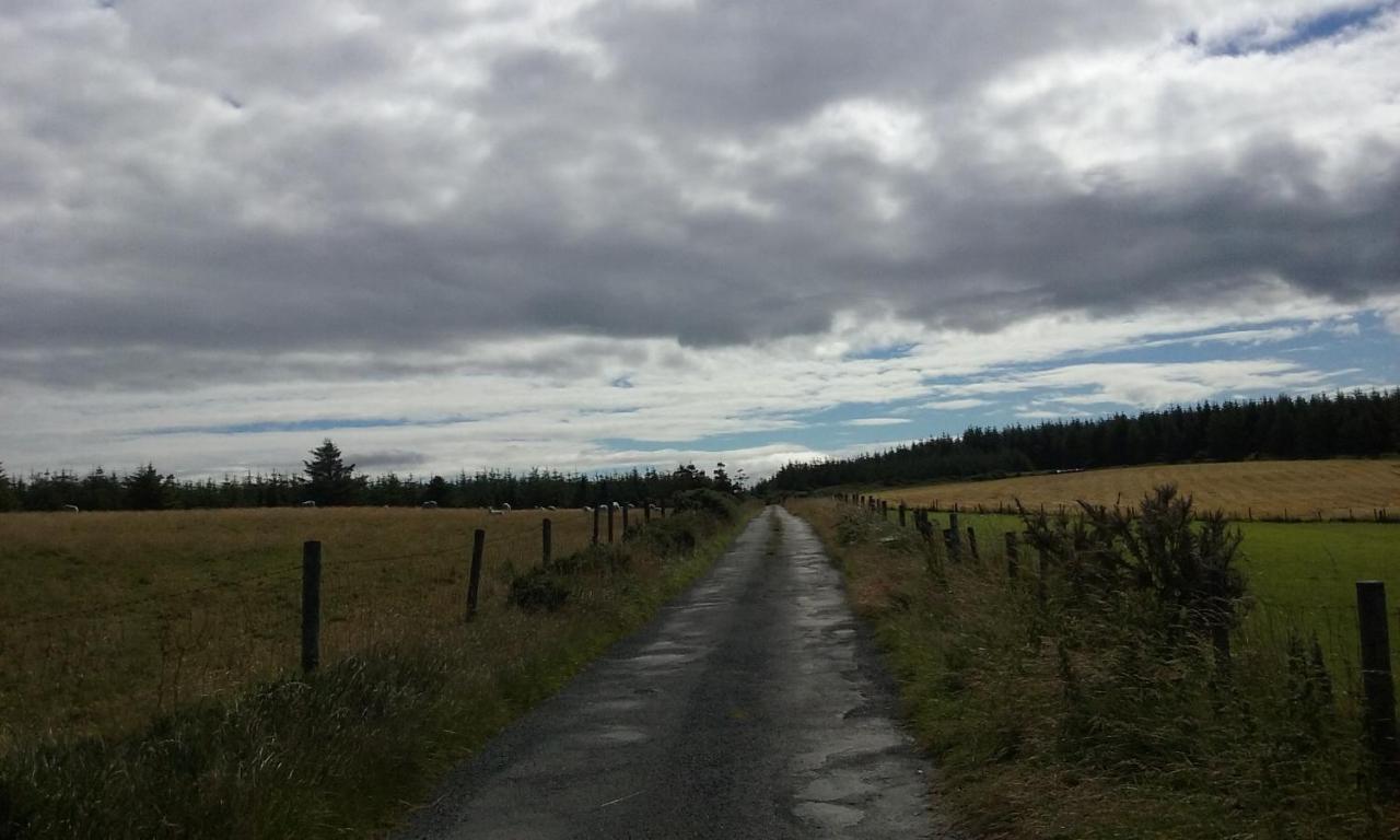 Macreddin Rock Bed&Breakfast Aughrim Exteriör bild
