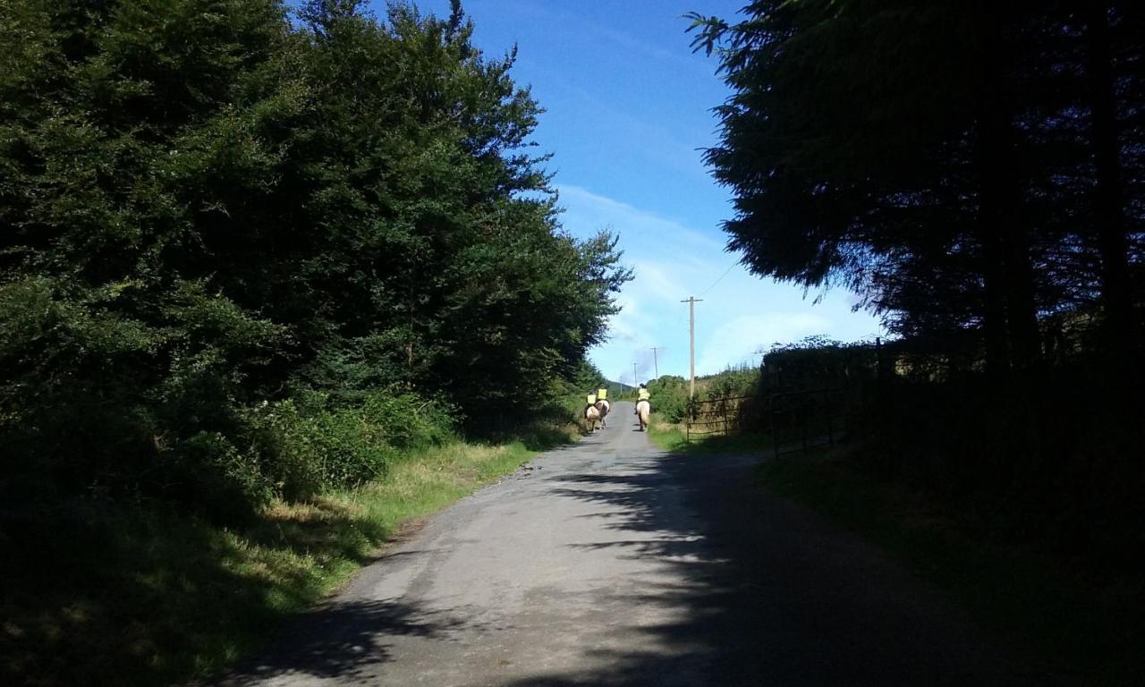 Macreddin Rock Bed&Breakfast Aughrim Exteriör bild