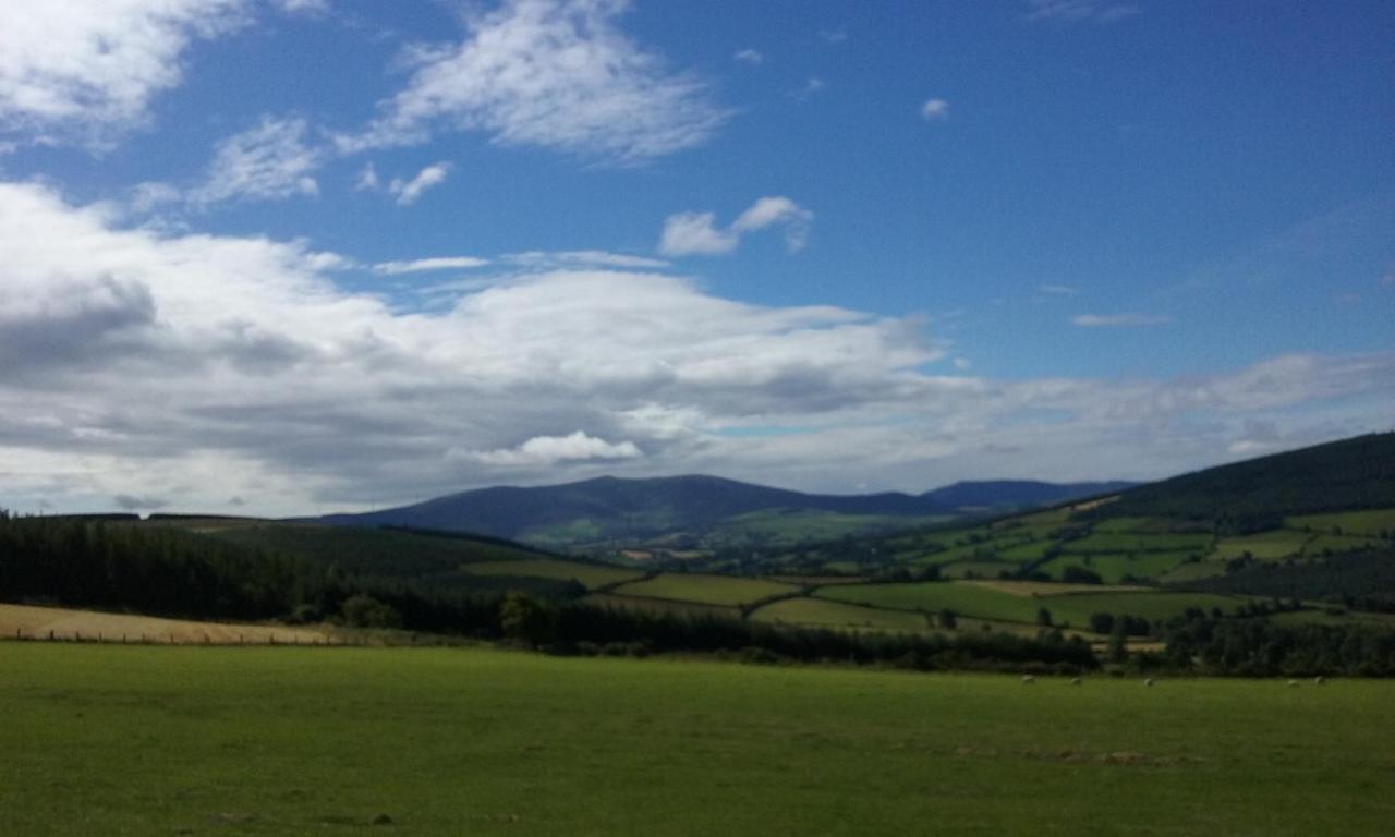Macreddin Rock Bed&Breakfast Aughrim Exteriör bild