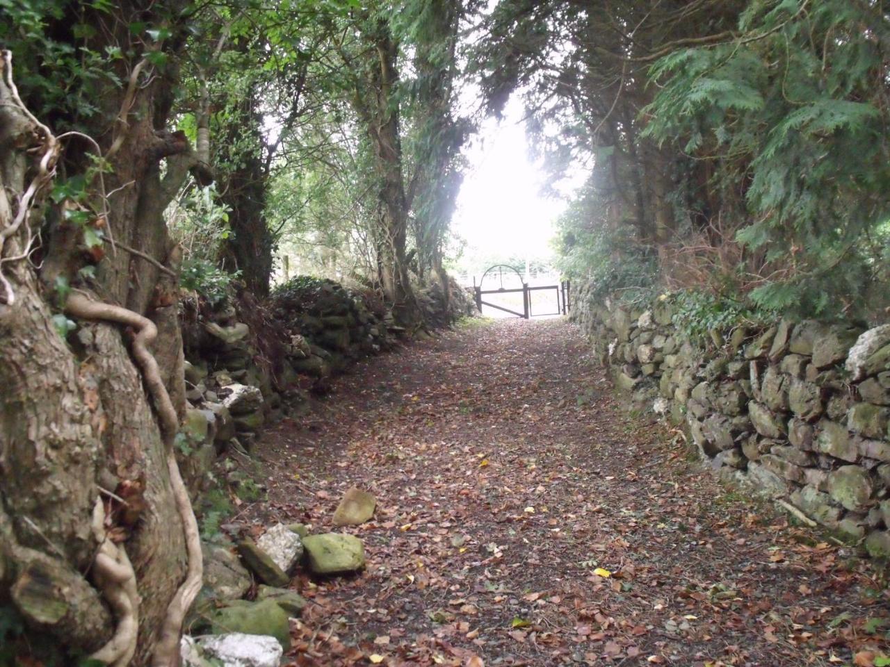 Macreddin Rock Bed&Breakfast Aughrim Exteriör bild