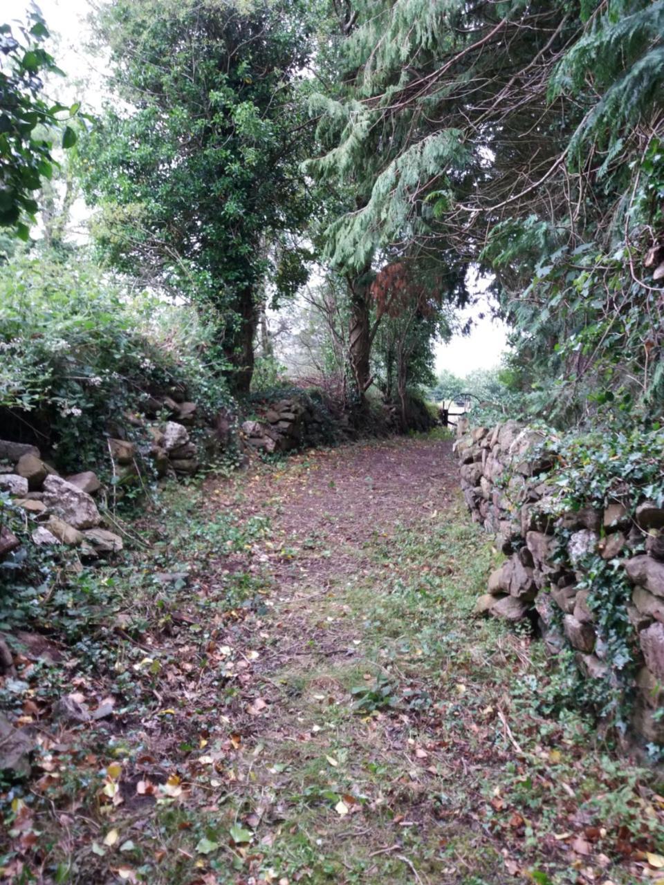 Macreddin Rock Bed&Breakfast Aughrim Exteriör bild